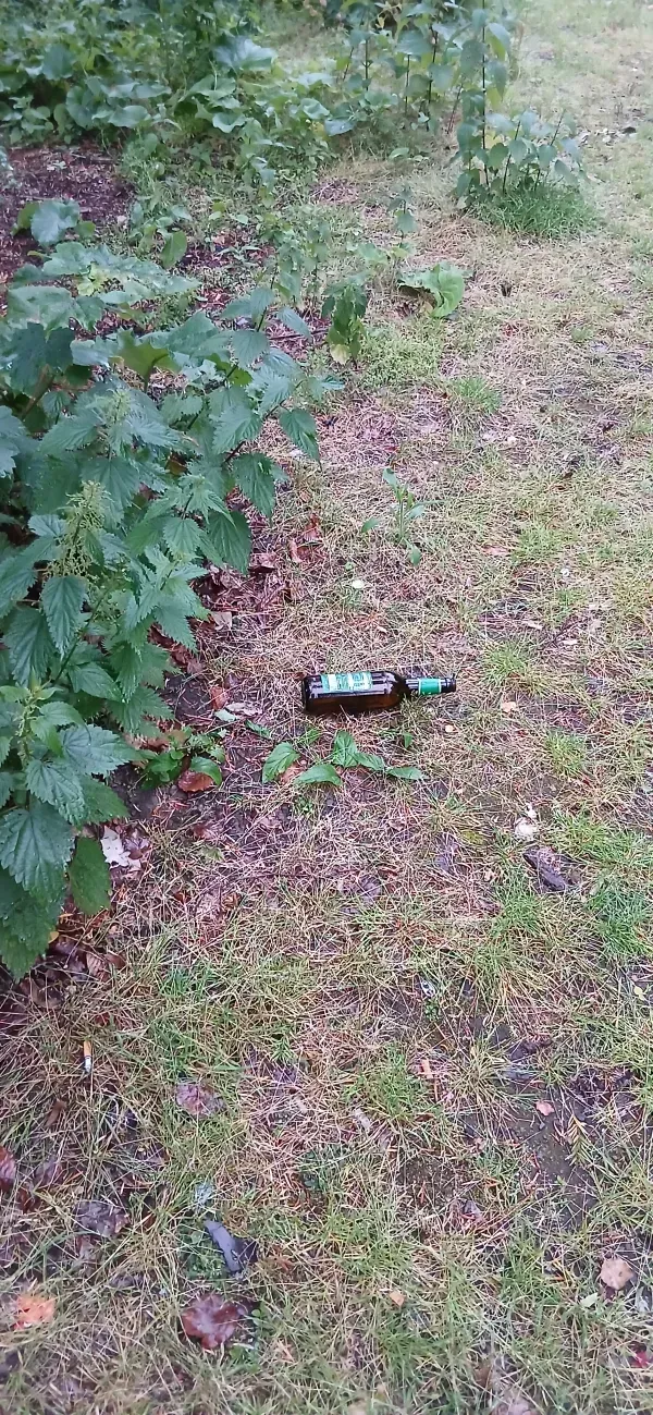 Leere Bierflasche am Rand eines Weges.