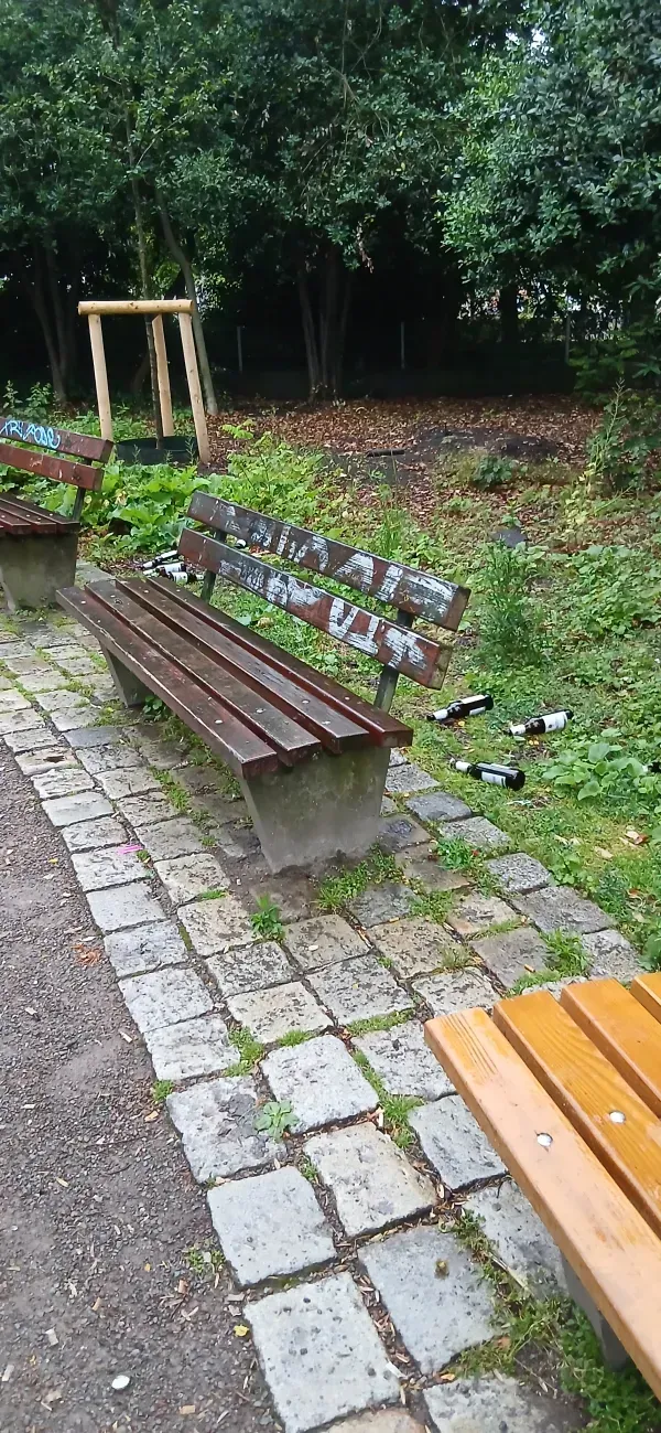 Sitzbänke mit leeren Bierflaschen auf einer Grünfläche.