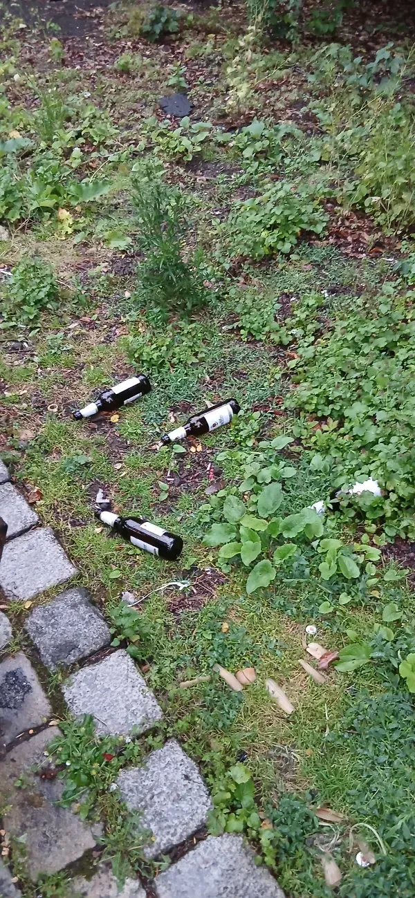 Zurückgelassene Bierflaschen auf einer Grünfläche.