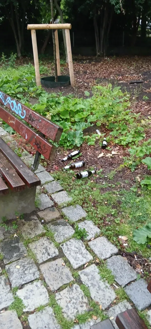 Mehrere leere Bierflaschen liegen auf einer Wiese.