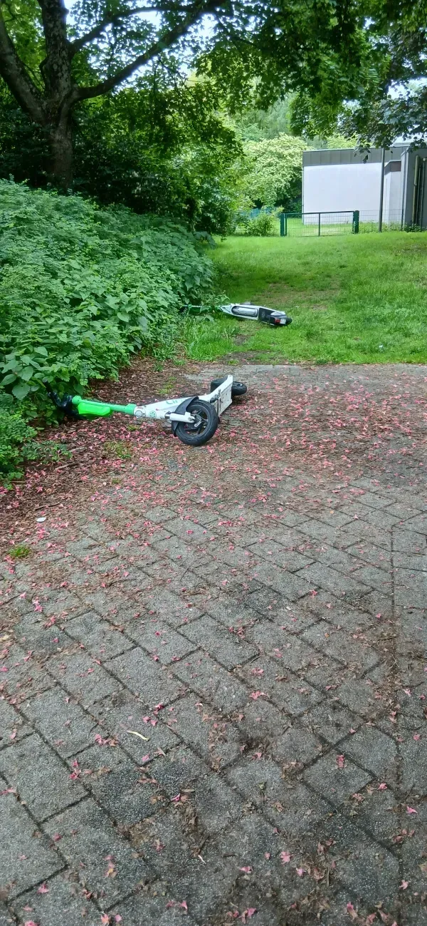 2 E-Bikes liegen im Grünen Umgekippt.