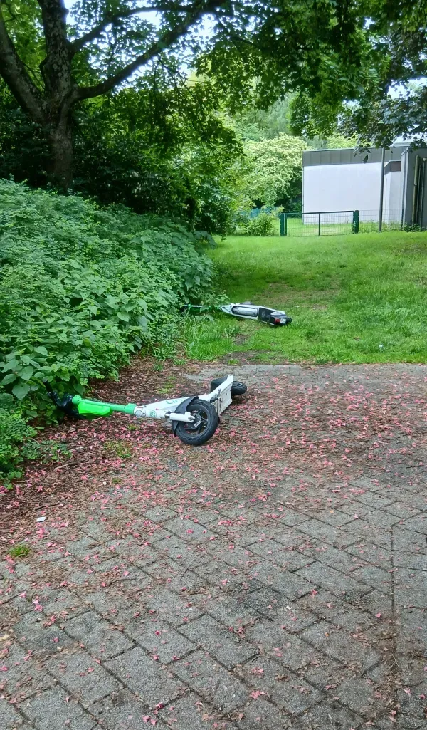2 E-Bikes liegen im Grünen Umgekippt.