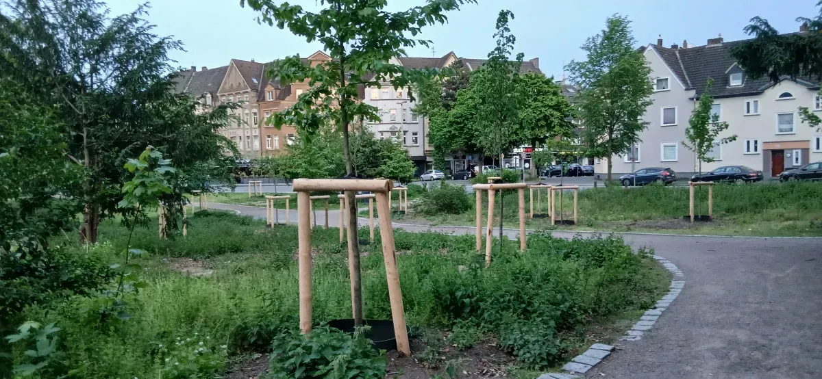 Neue Baumeinfassung Hamborn.