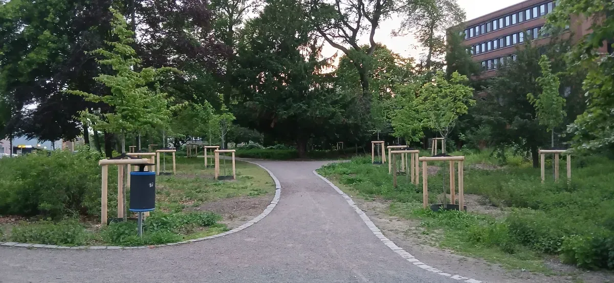 Weg mit Grünbereich Hamborn.