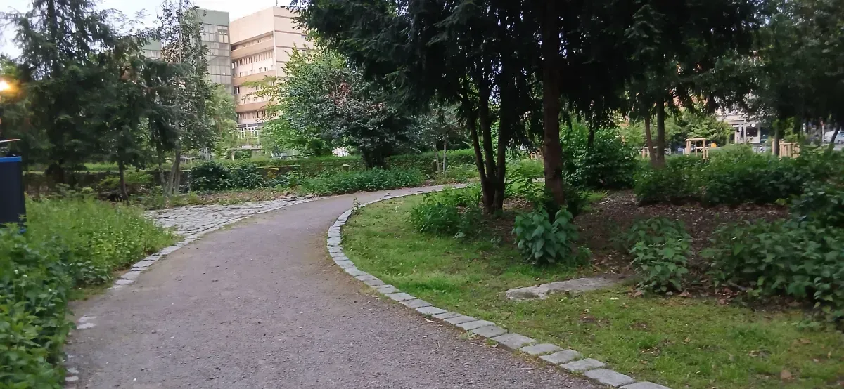 Kurviger Parkweg Hamborn.