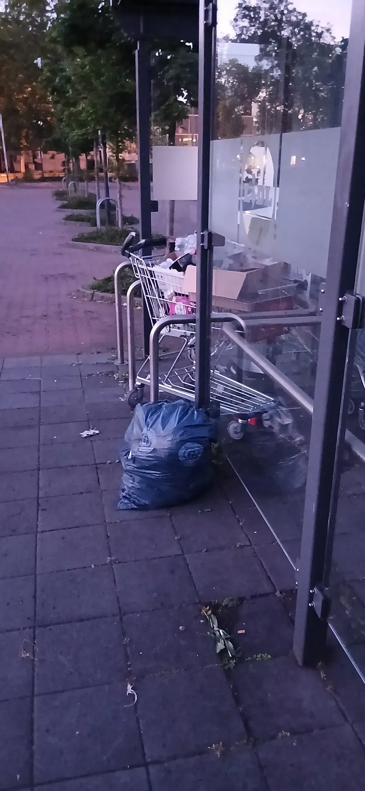 Müllsack neben Einkaufswagen bei Lidl