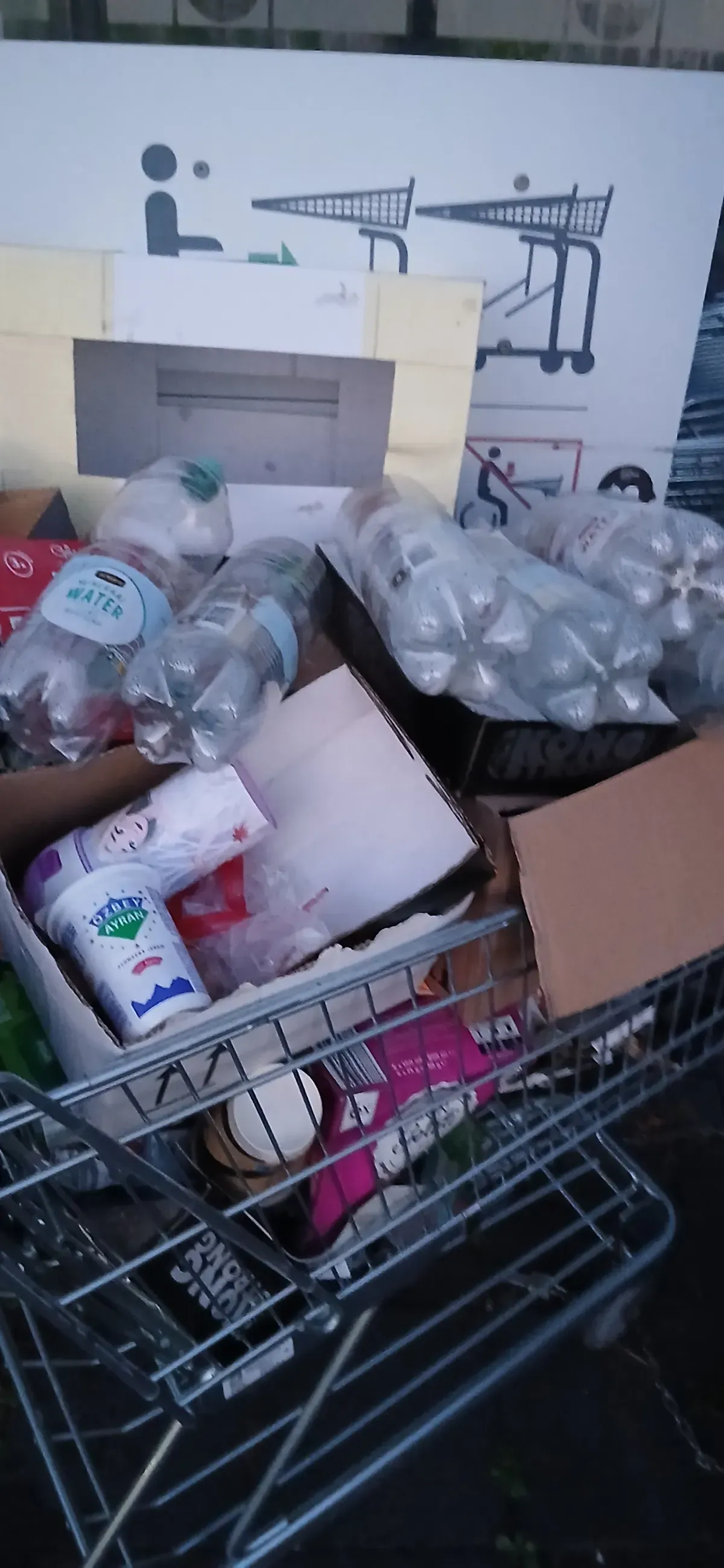 Einkaufswagen mit Plastikmüll bei Lidl