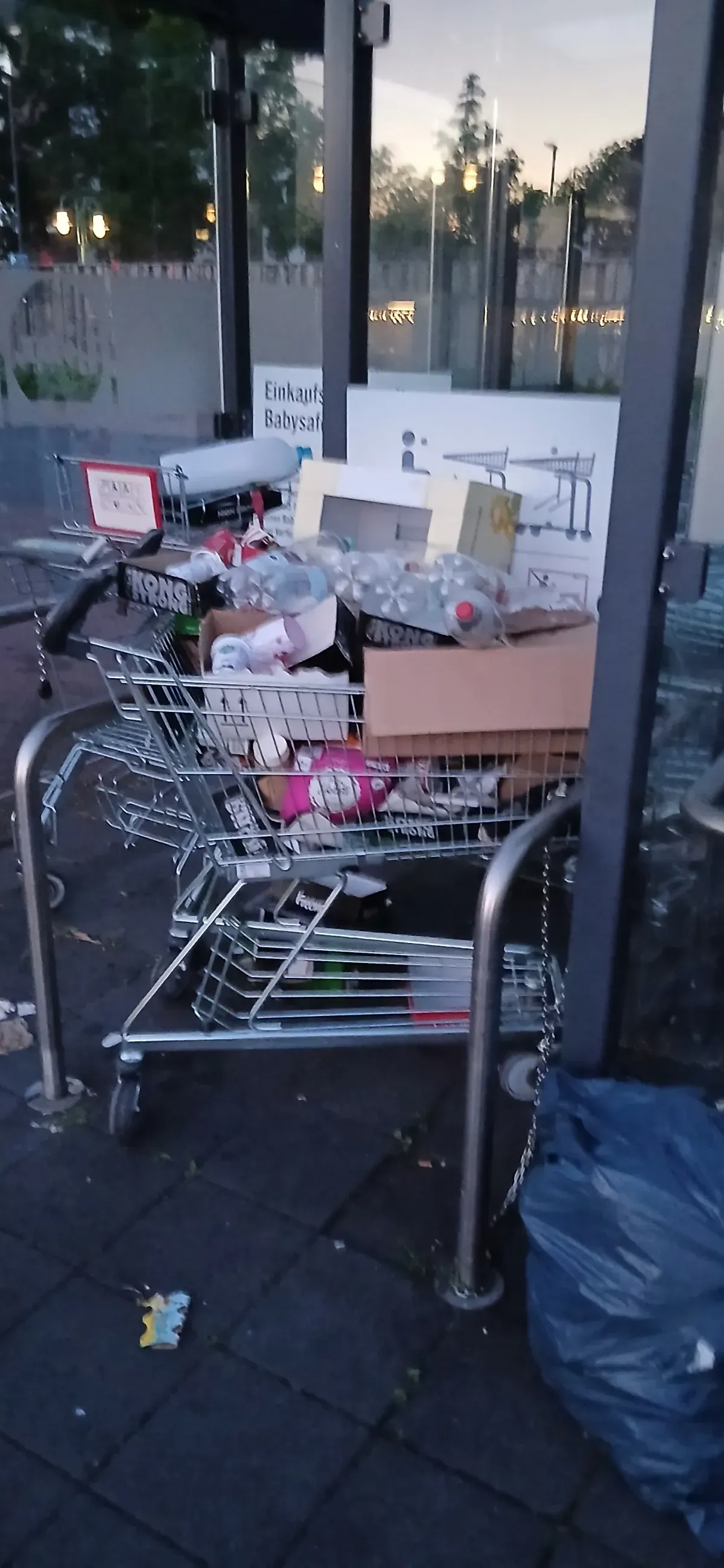 Einkaufswagen mit Babysafe und Abfällen