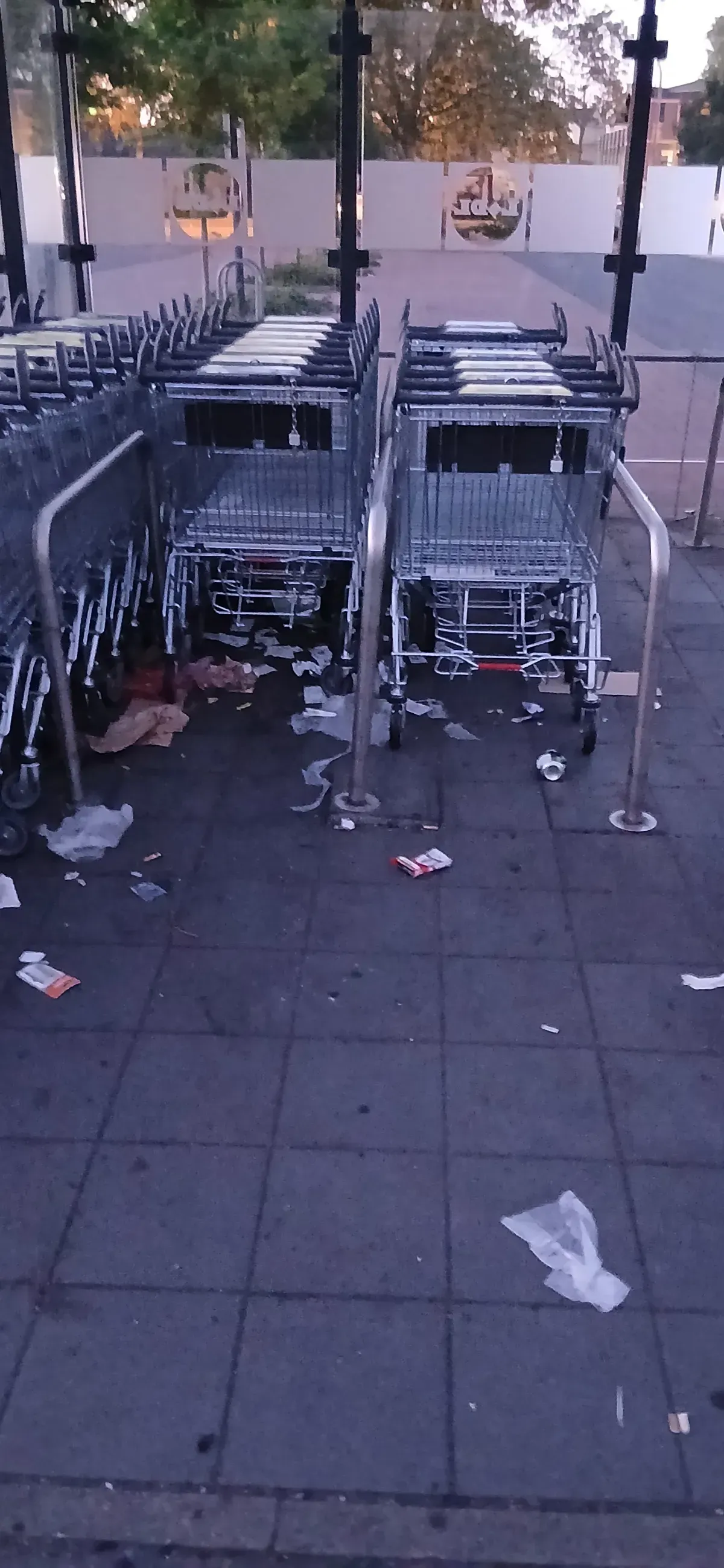 Abfälle im Einkaufswagenbereich bei Lidl