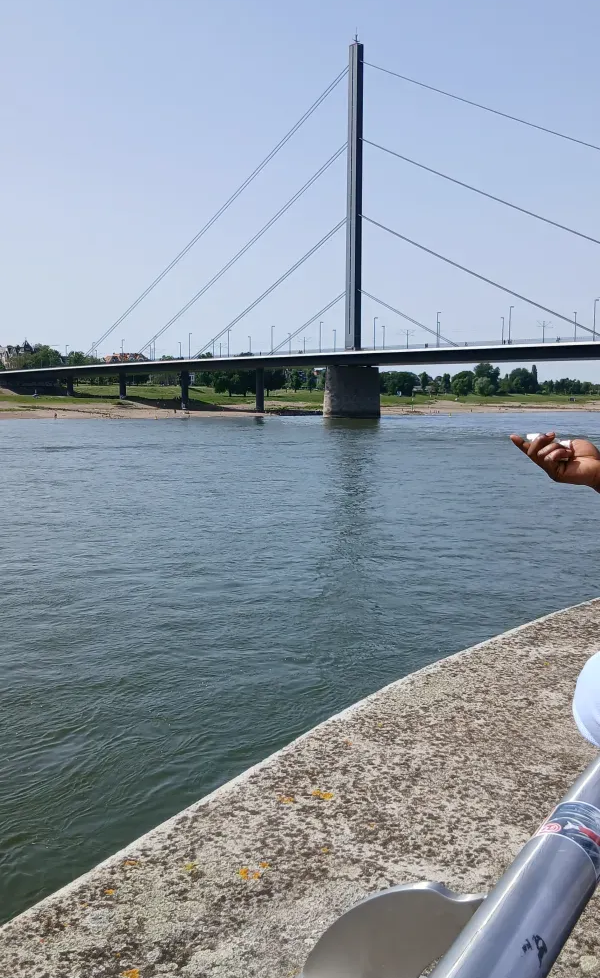 Rheinpromenade Düsseldorf mit Blick auf den Rhein und die Brücke am Japan-Tag 2026.