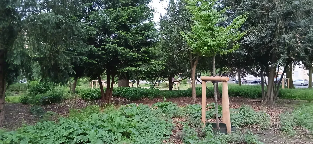 Park Grünflächen Hamborn.