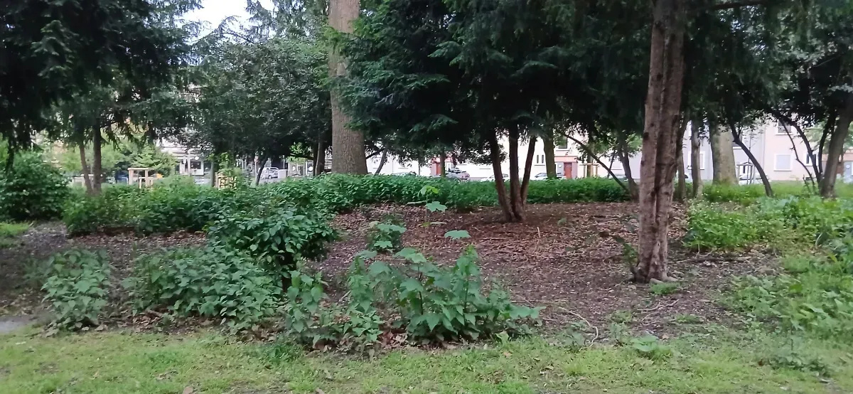 Pflanzenbereich Park Hamborn.