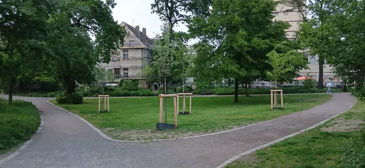Grünflächen Park Hamborn.