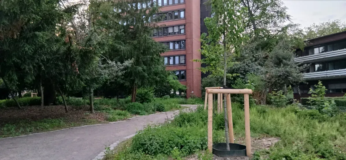 Parkweg am Finanzamt Hamborn.