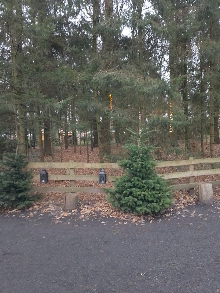 Weihnachtsmarkt Marbeck 064