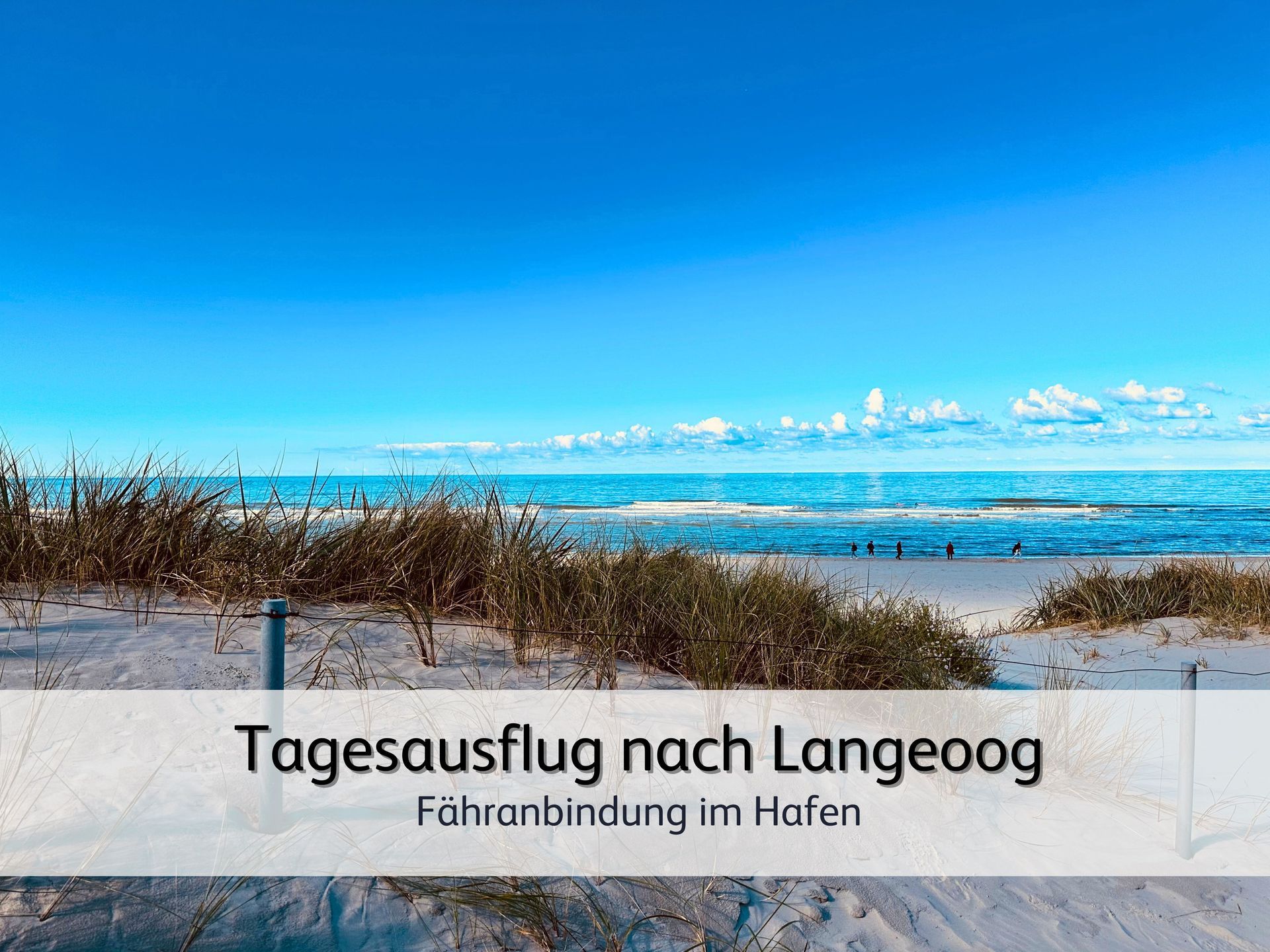 Blick auf die Dünen der Nordseeinsel Langeoog auf das Meer bei strahlend blauem Himmel