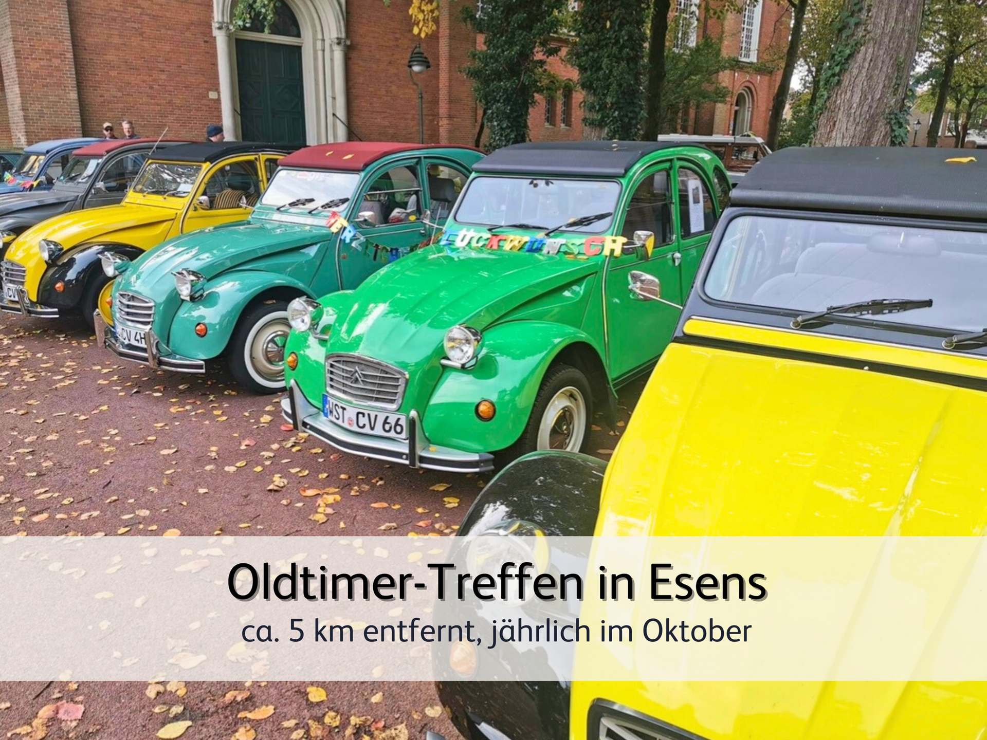 Viele bunte Oldtimer im Laub beim jährlichen Oldtimer-Treffen in Esens