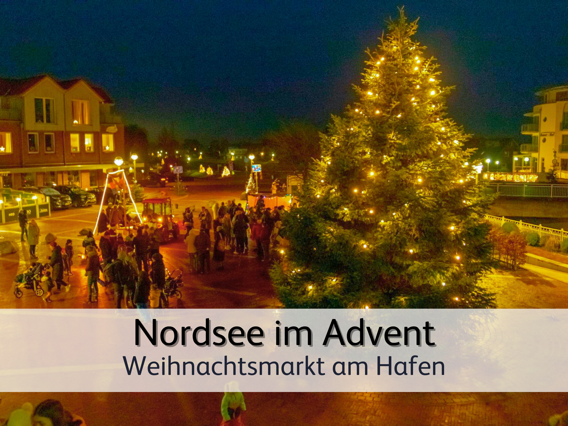 Blick auf den weihnachtlich geschmückten abendlichen Marktplatz von Bensersiel. Zu sehen ist ein riesiger Tannenbaum mit Lichterkette 