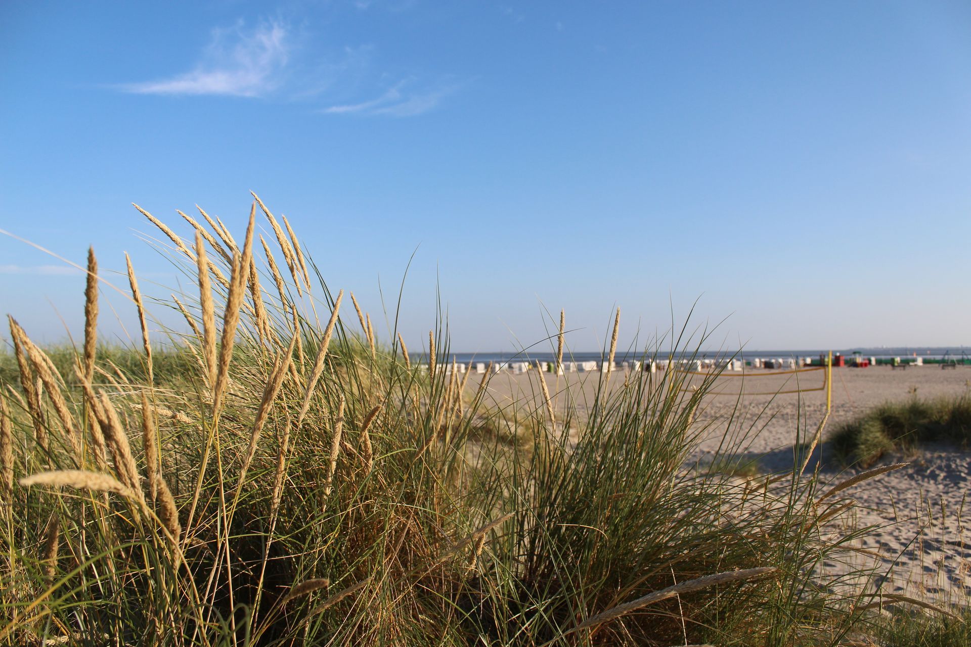 im Vordergrund sind die Dünen zu sehen. Dahinter sieht man den Sandstrand mit Strandkörben und die Nordsee. Der Himmel ist strahlend blau nicht leichten Wolken