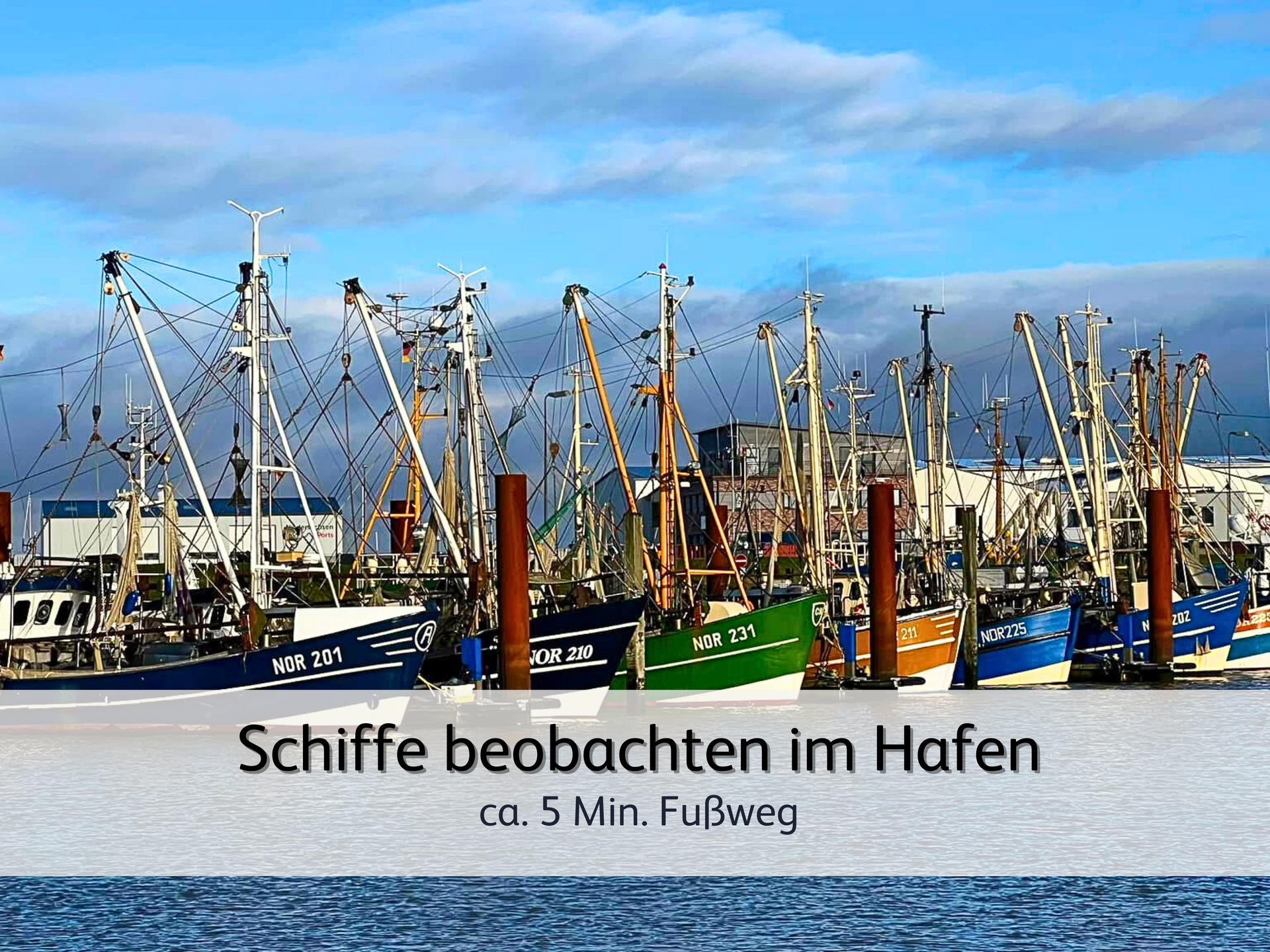 Mehrere Fischkutter in bunten Farben ankern im Hafen von Norddeich