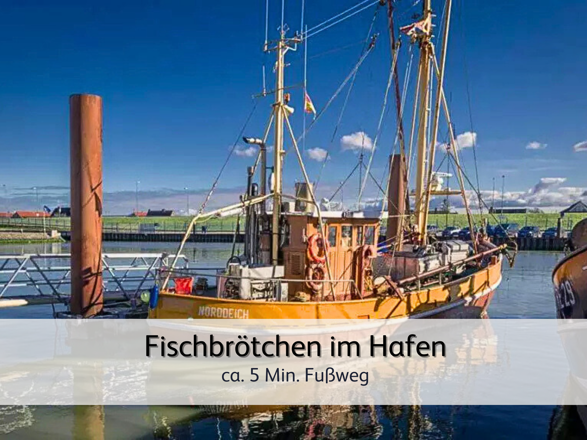 Ein Fischkutter im Hafen von Norddeich. Die Sonne scheint, der Himmel ist dunkelblau