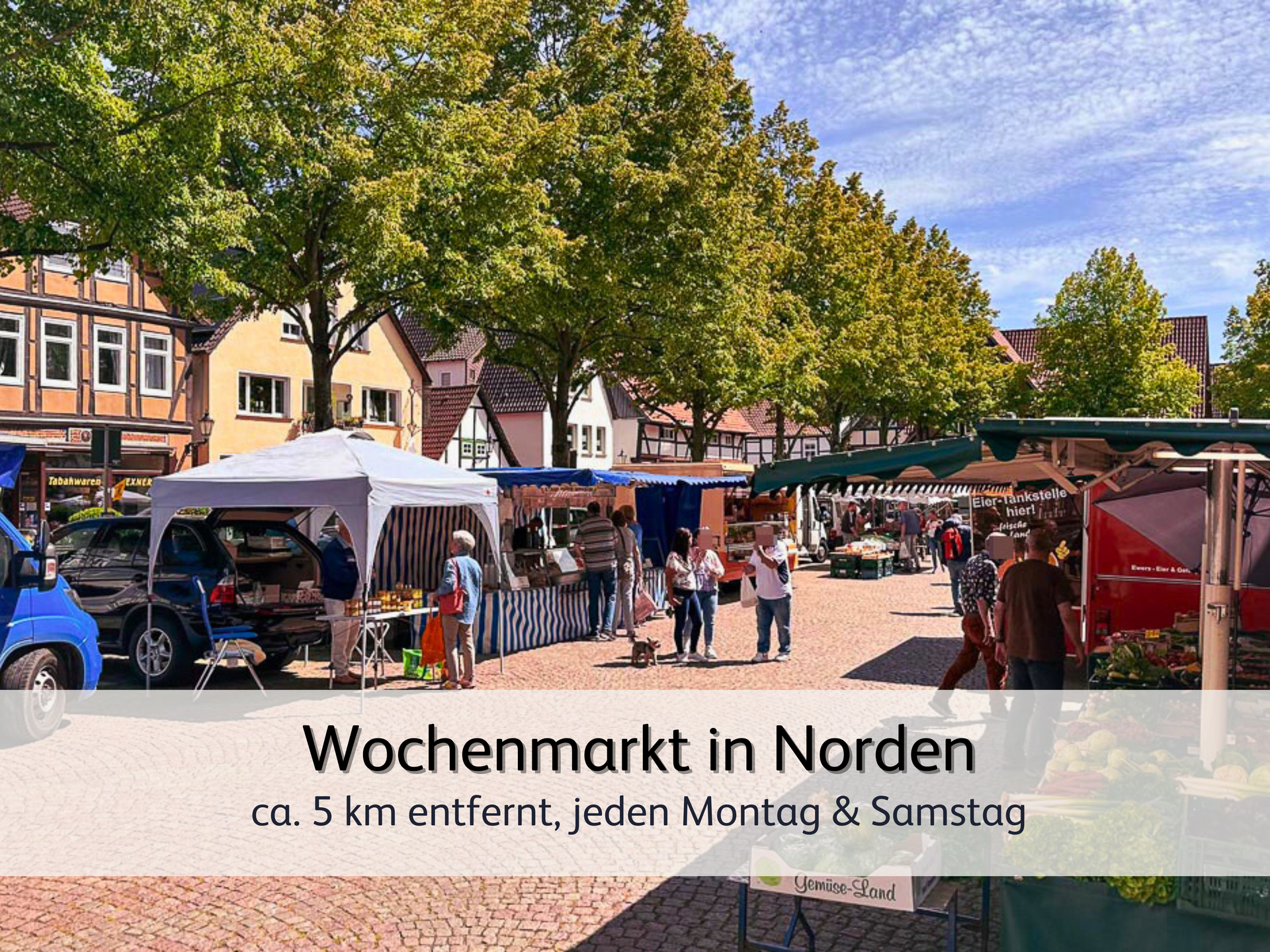 Blick auf Verkaufsstände des Wochenmarkts von Norden