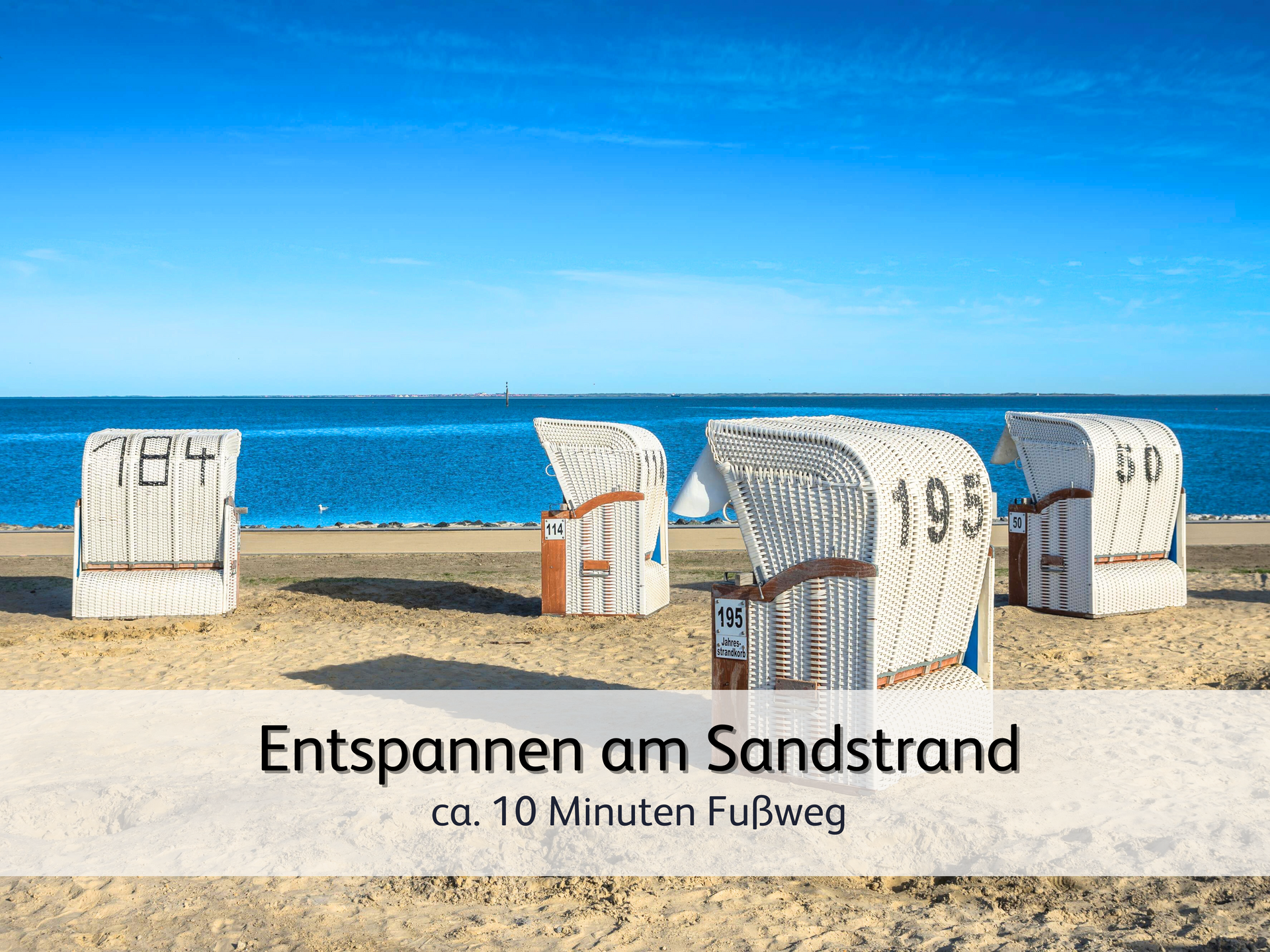 Strandkörbe am Strand von Norddeich vor der ruhigen Nordsee und unter blauem Himmel