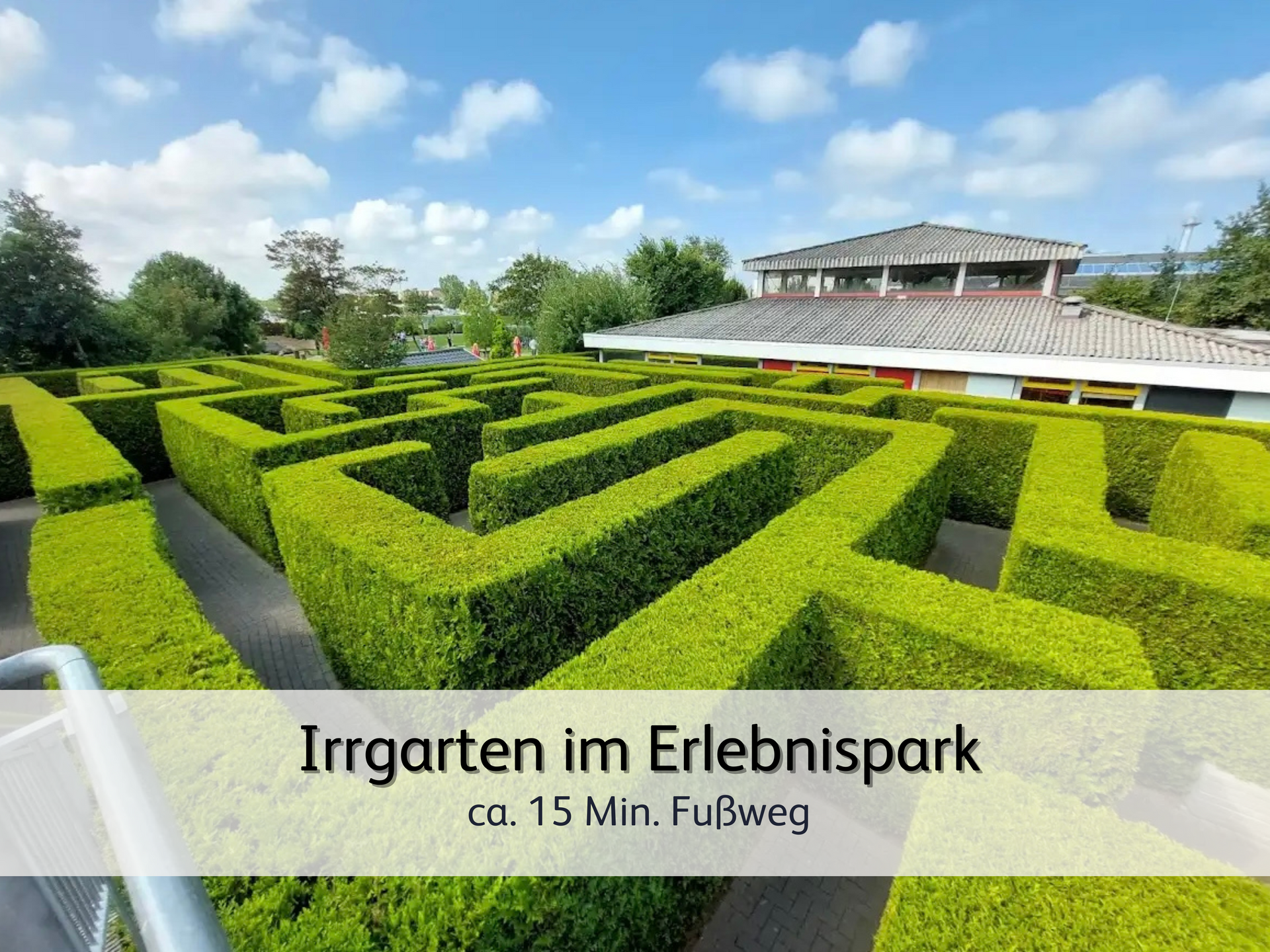 Ein Irrgarten aus saftig grünem Buchsbaum im Erlebnispark in Norddeich bei bestem Wetter