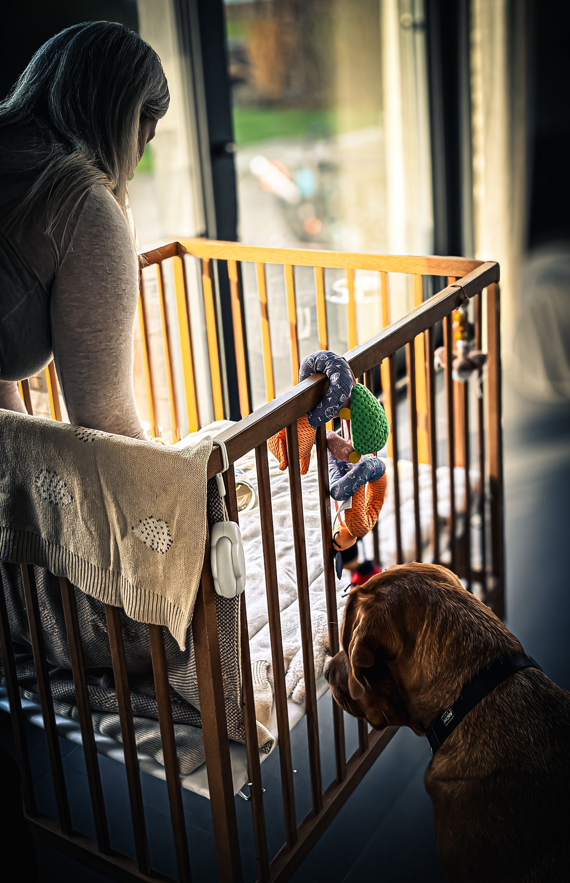 Eine Frau schaut in das Babybett; ein Hund beobachtet sie. Helles Tageslicht im Hintergrund.