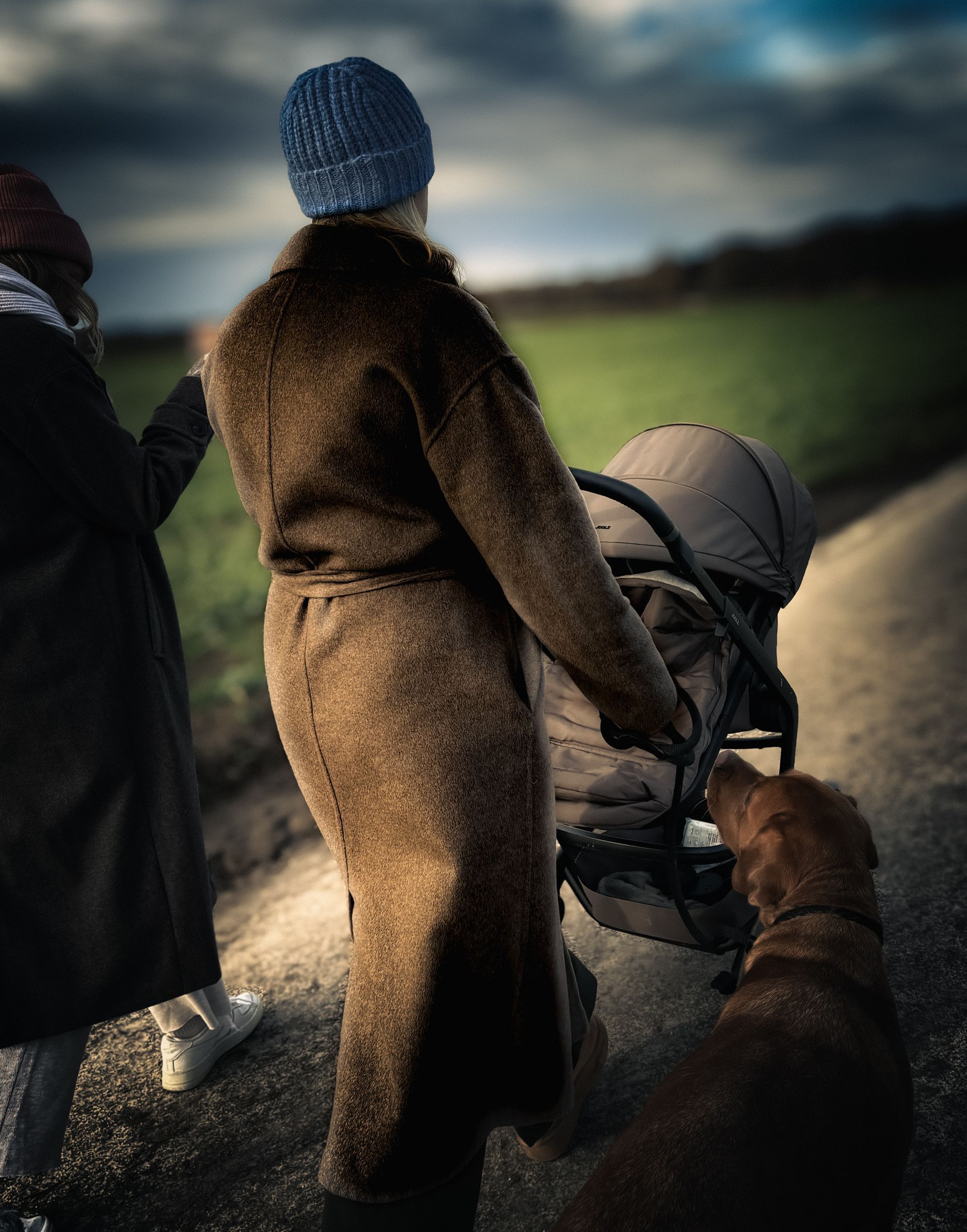 Eine Person schiebt einen Kinderwagen auf einem Weg, ein Hund läuft neben ihr, eine weitere Person geht in der Nähe. 