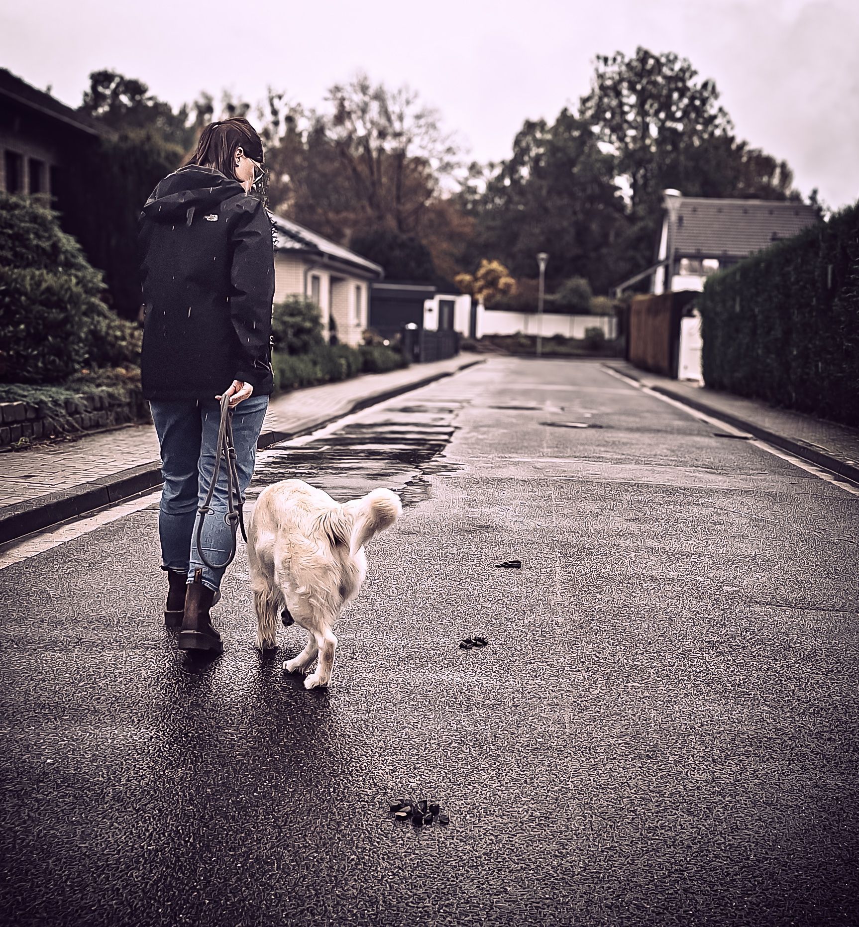 Eine Person führt einen Hund auf einer nassen Straße spazieren. Häuser säumen die Straße, der Himmel ist bedeckt.