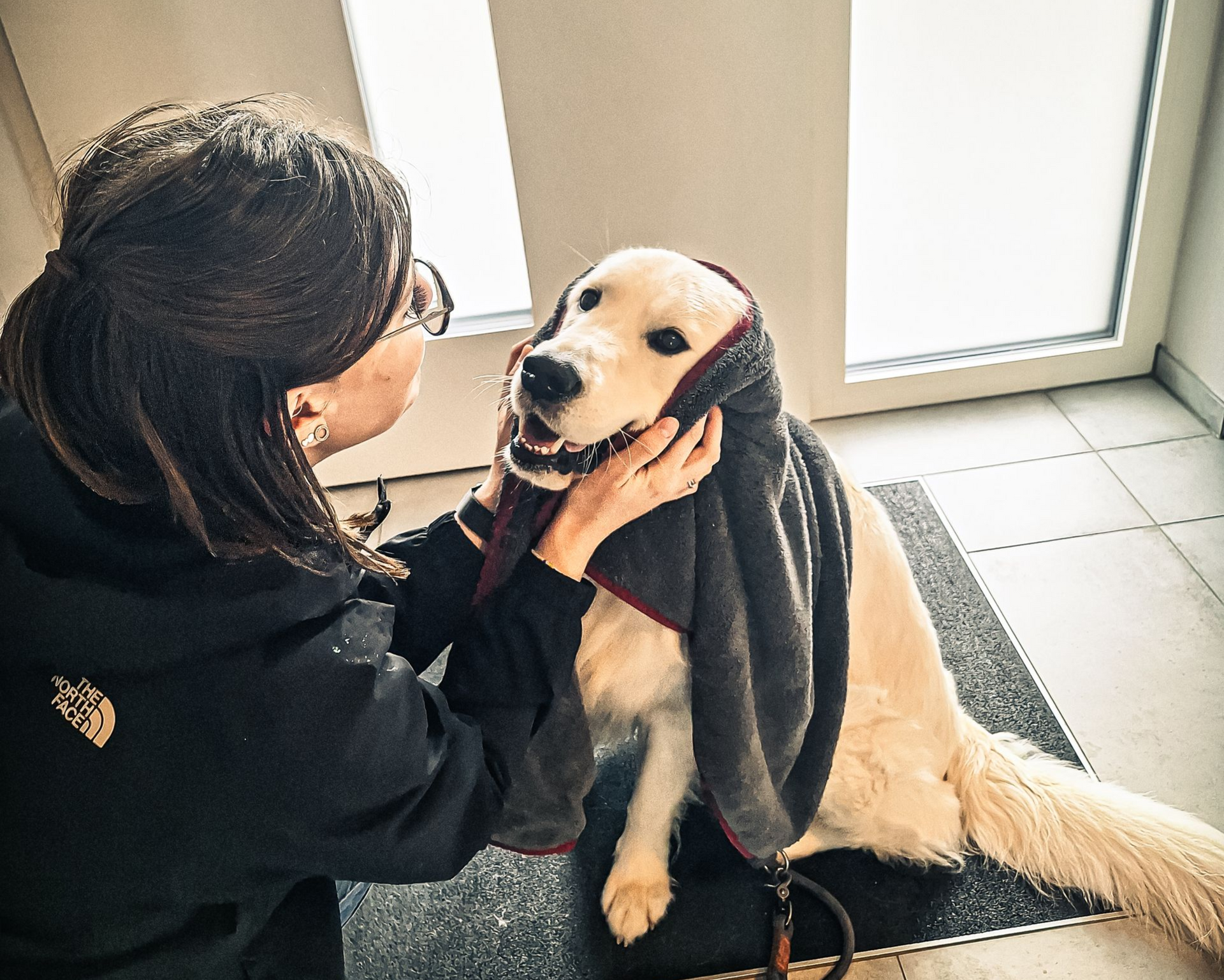 Eine Frau trocknet einen Golden Retriever mit einem Handtuch ab. Der Hund sitzt auf einer Matte.