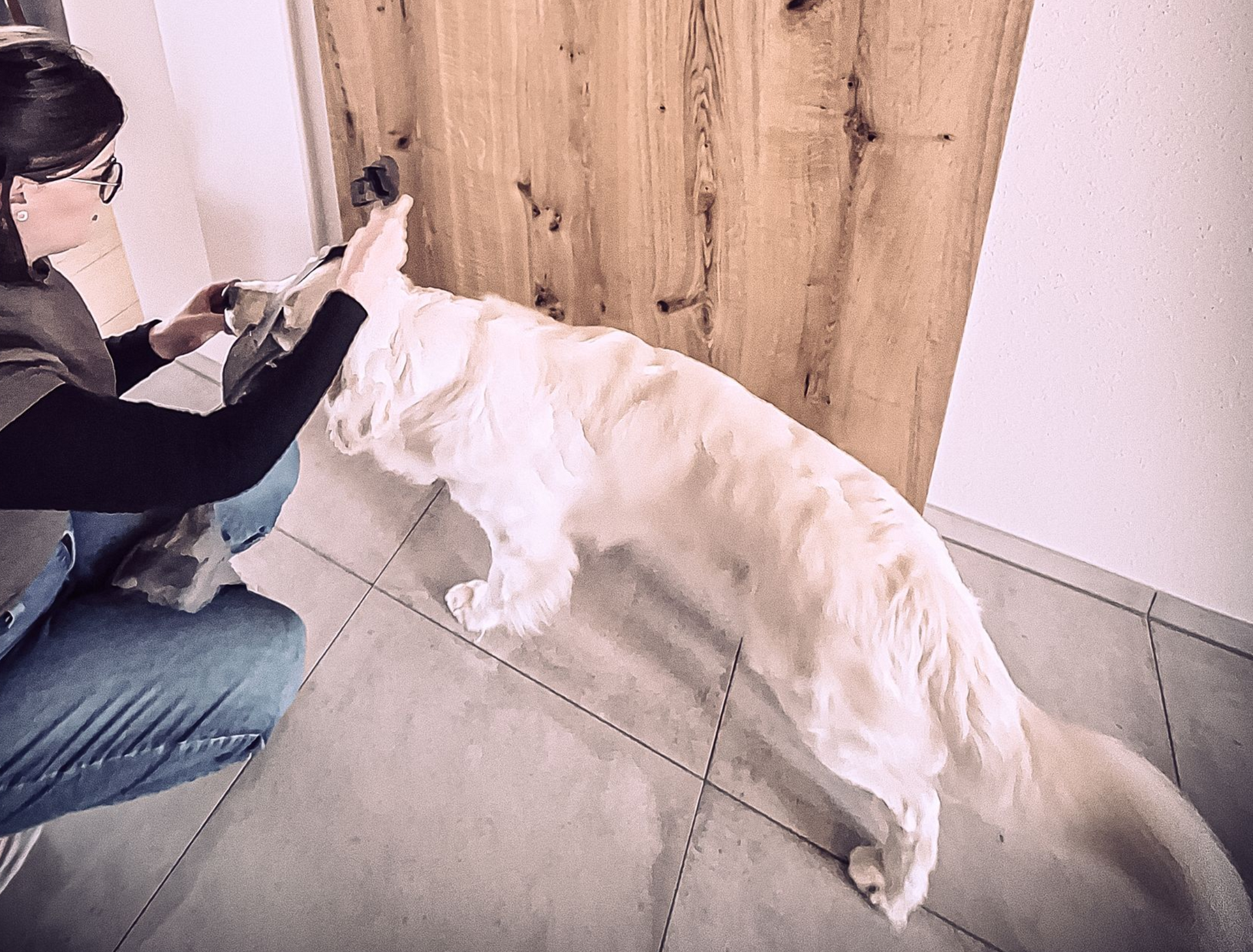 Eine Frau bürstet einen Golden Retriever in einem Haus in der Nähe einer Holzwand.