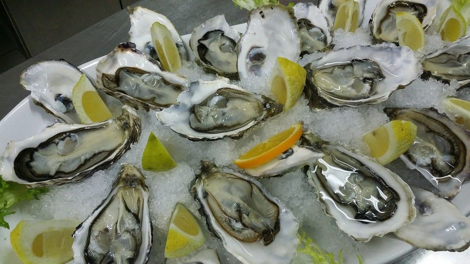 Are There Local Oysters in Our Future?