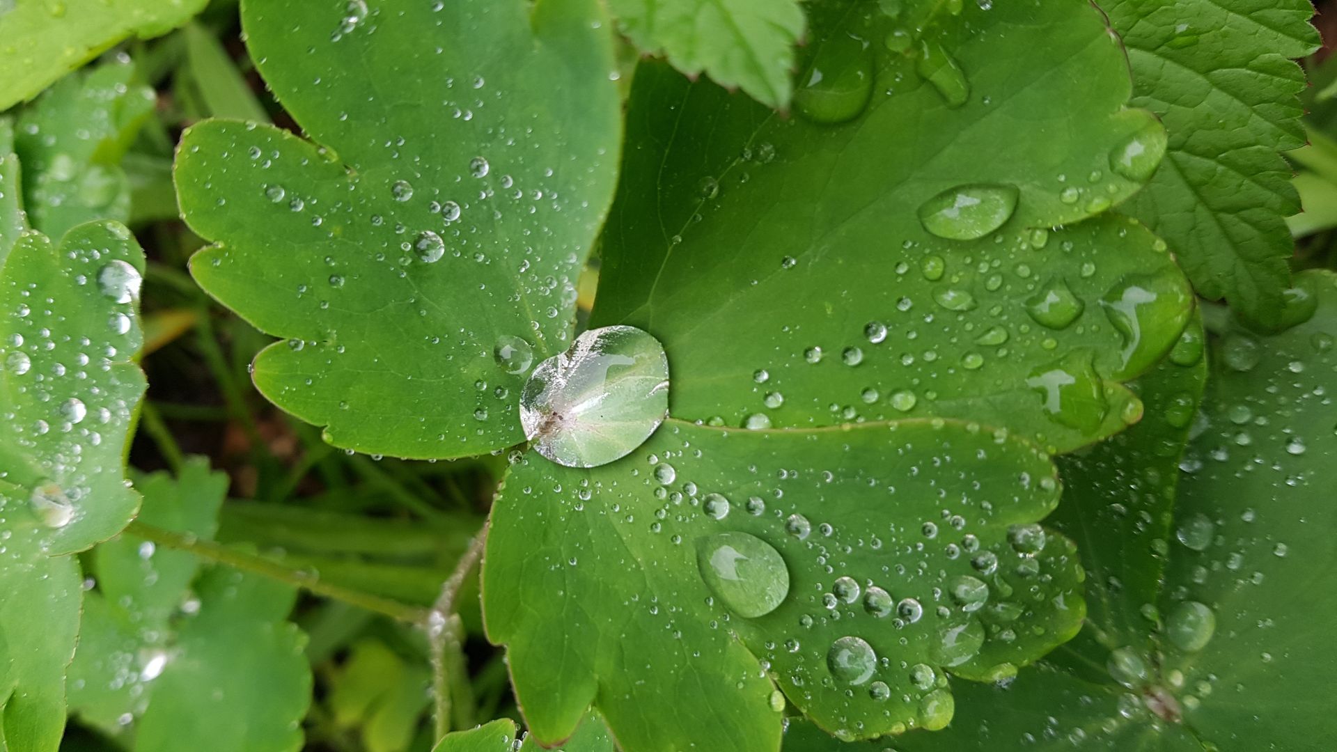 Was hat die Genetik für einen Einfluss auf unser Leben? Was kann ich dafür tun?
Die Antwort auf all diese Fragen ist ein kostenfreier und sehr informativer Vortrag!