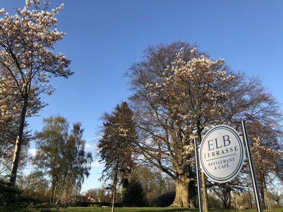 Elbterrasse Lauenburg Restaurant und Café