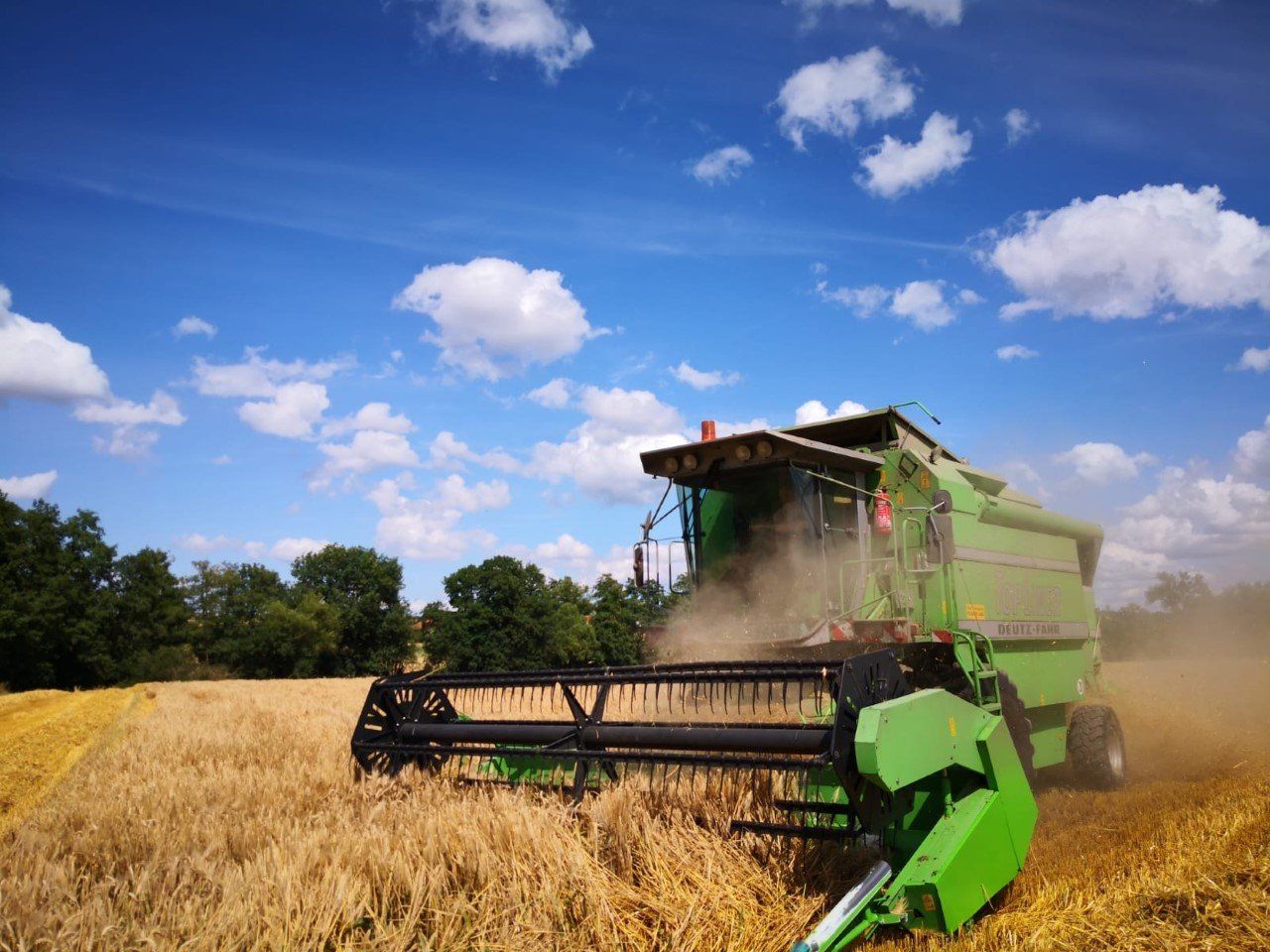 Landwirtschaft