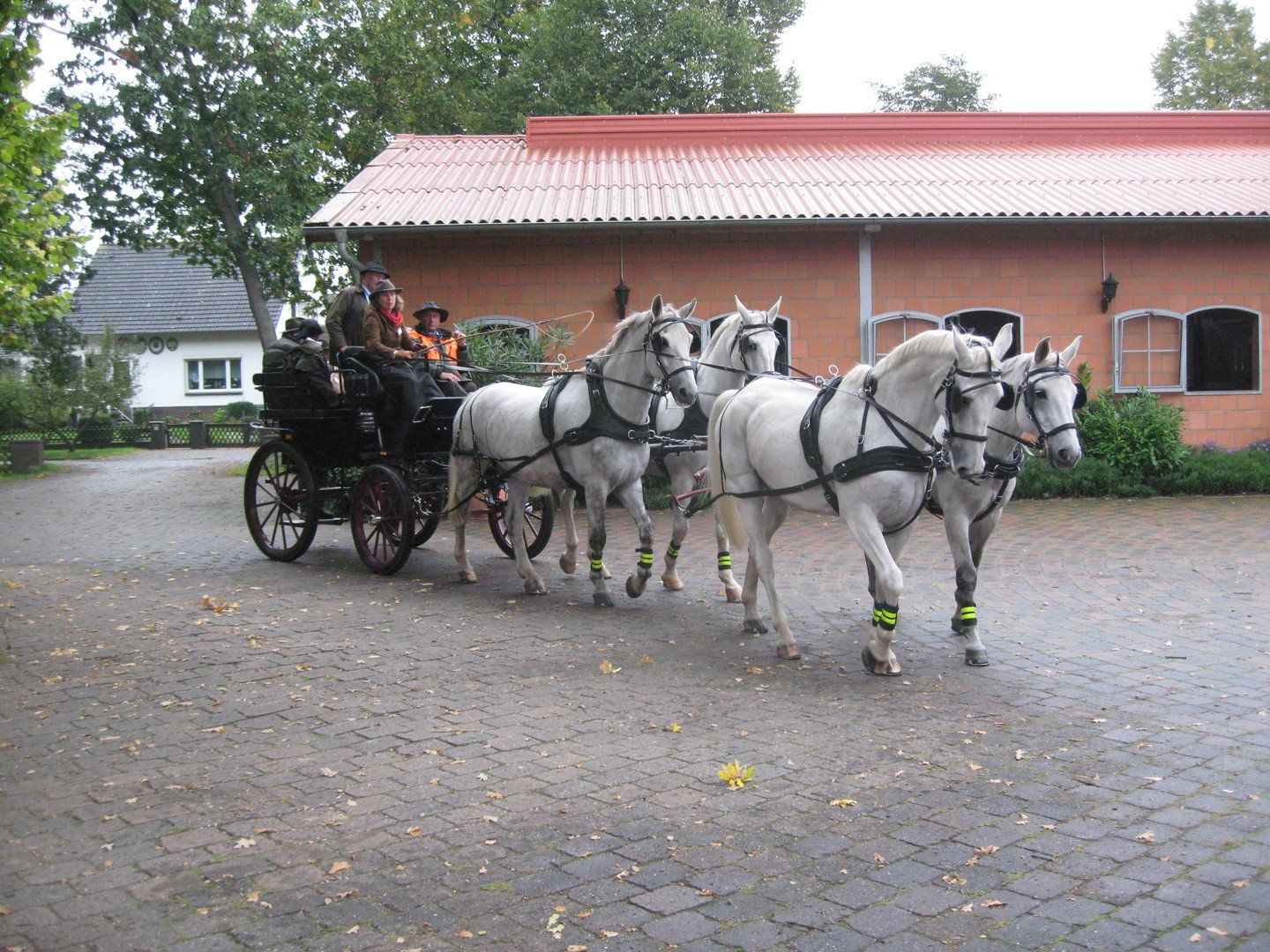 Pferdebetrieb Lindemann Kutsche fahren