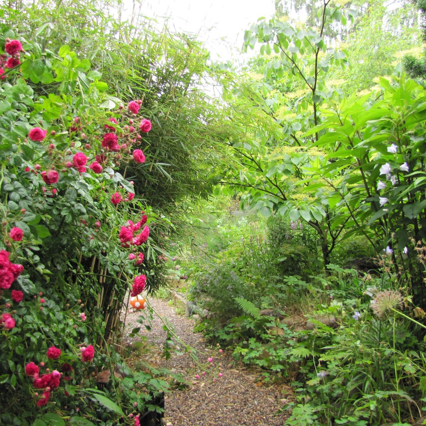 natürlicher Garten
