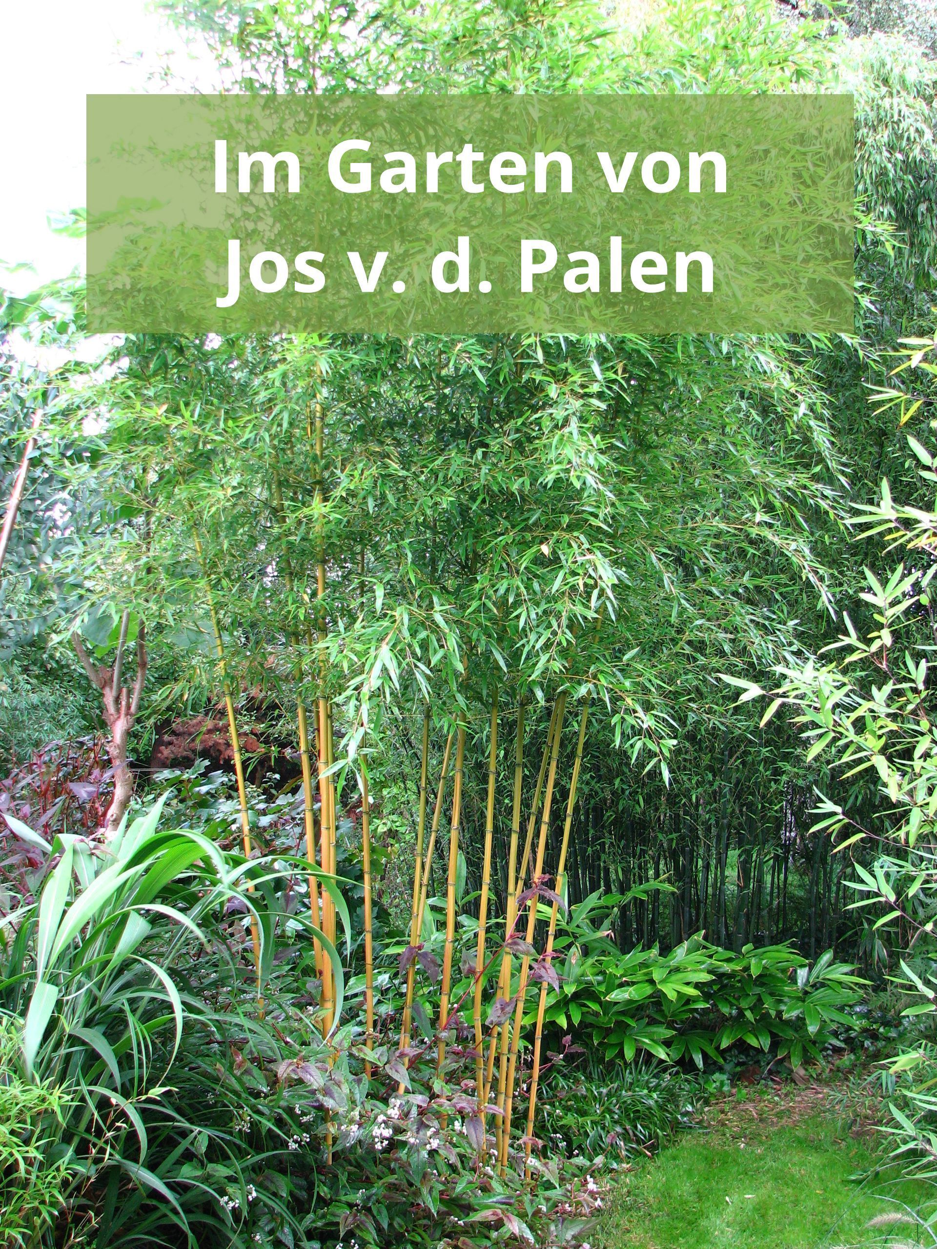 Im Garten von Jos v. d. Palen