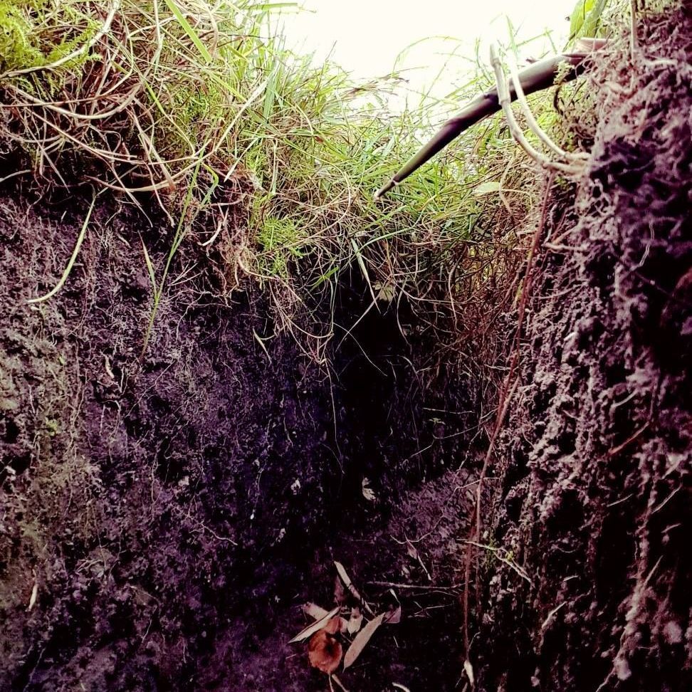 Graben gegen Bambusrhizome