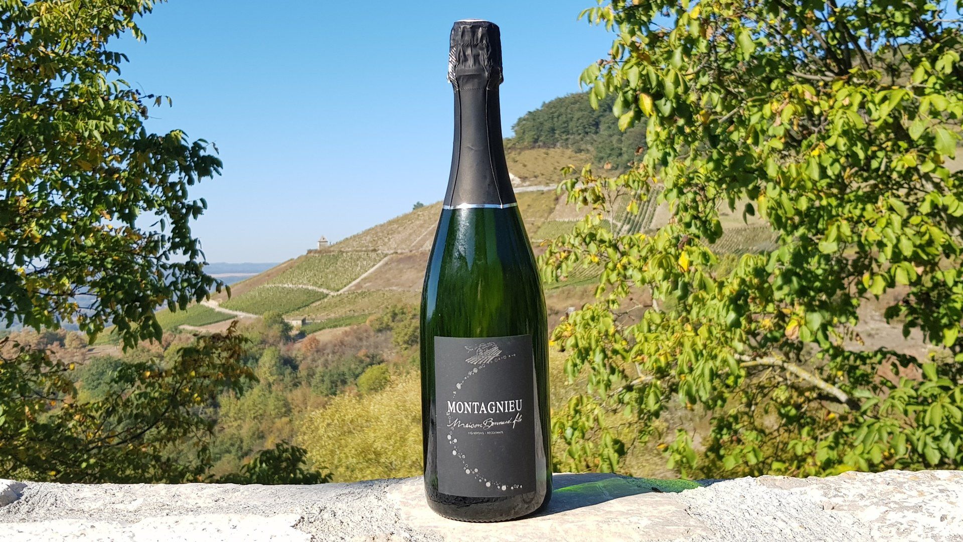 Vins du Bugey à Montagnieu Vins du Bugey à Montagnieu