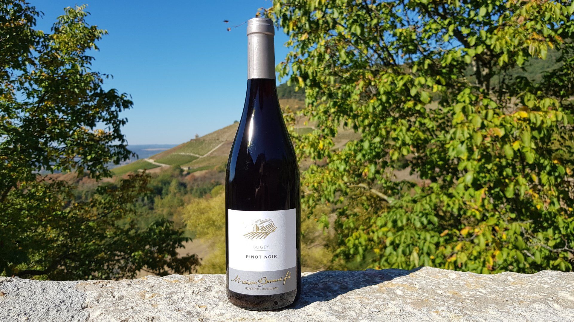 Vins du Bugey à Montagnieu Vins du Bugey à Montagnieu