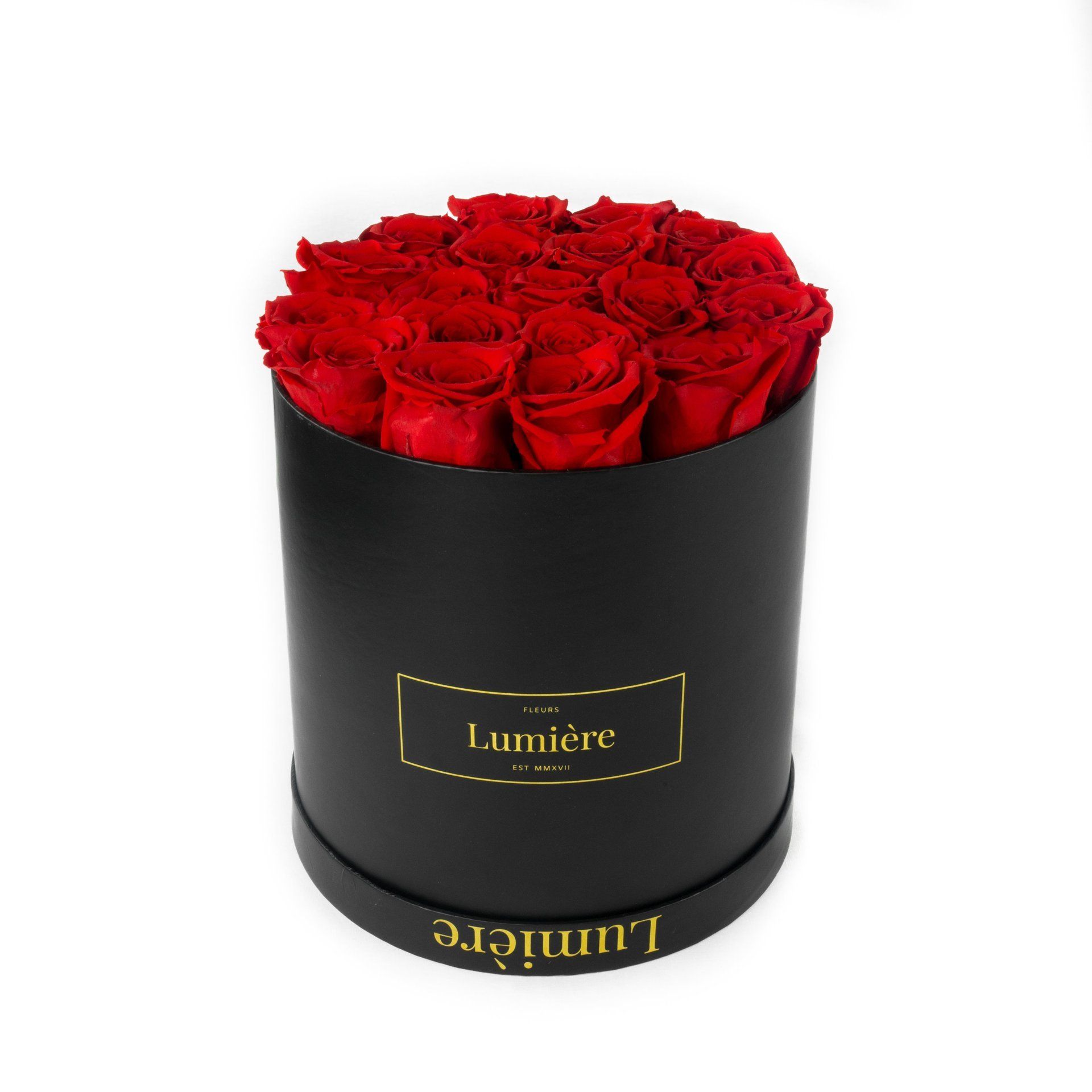 lumiere roses