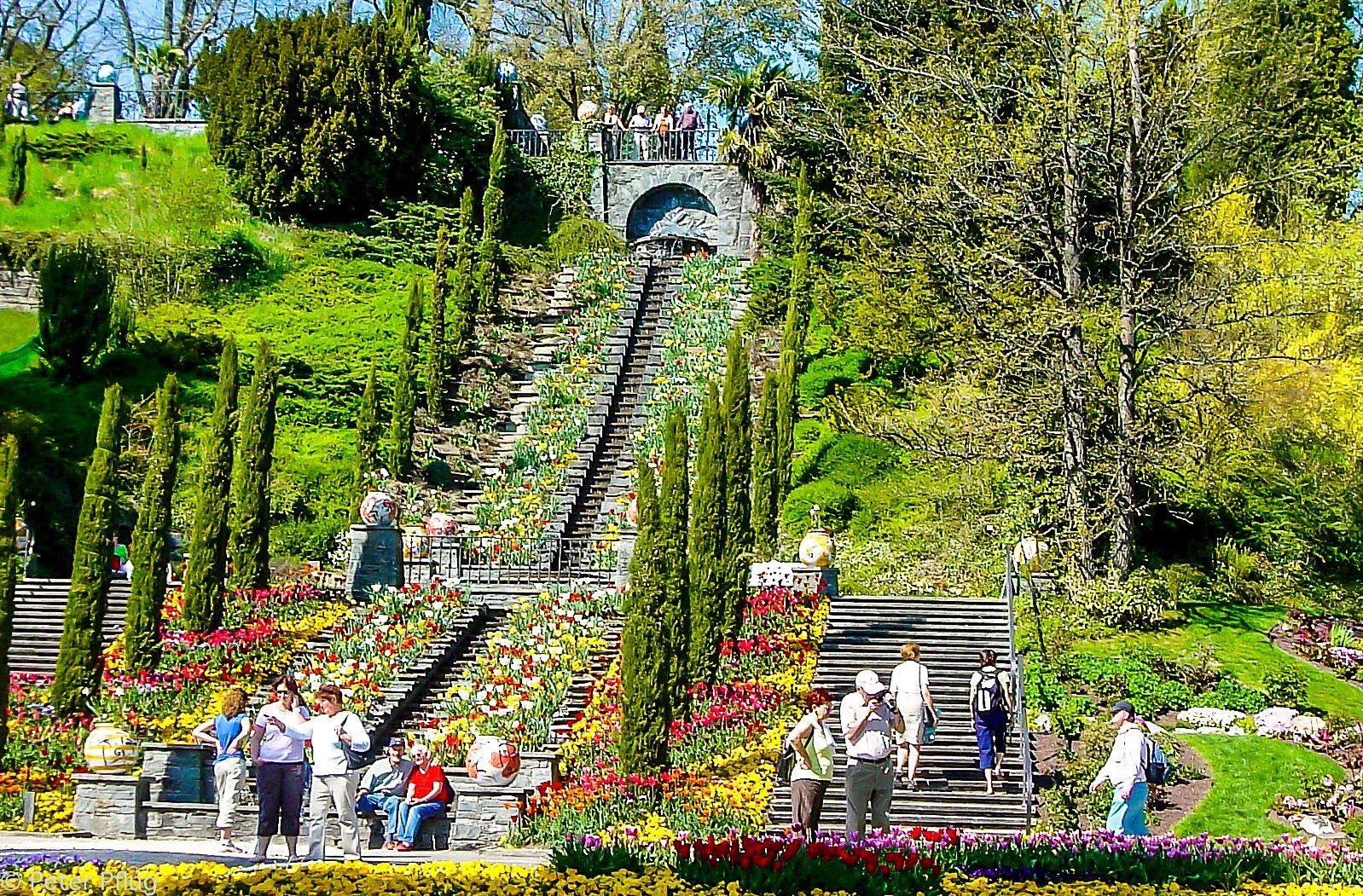am-sch-nen-bodensee-die-mainau