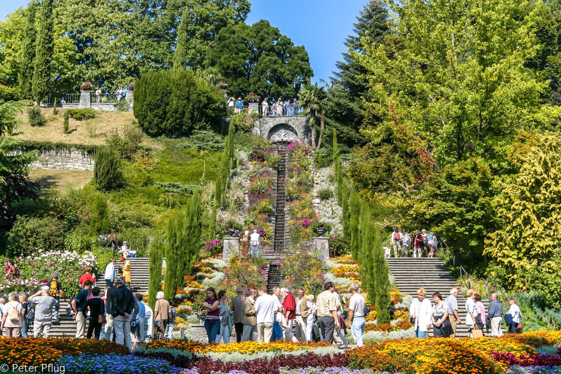 am-sch-nen-bodensee-die-mainau