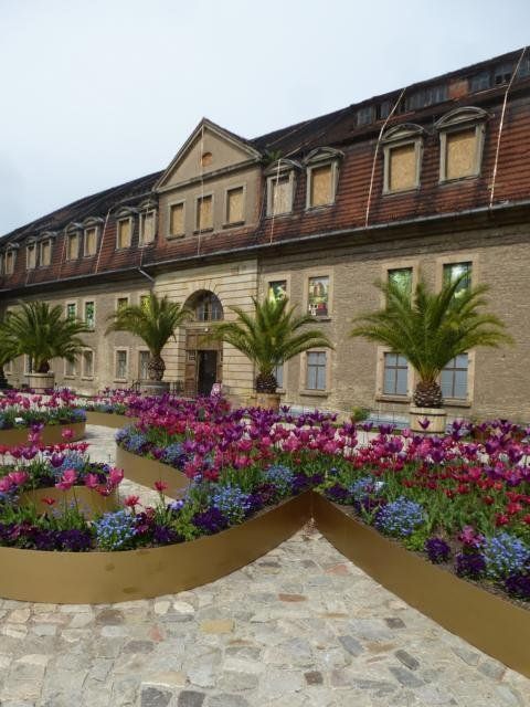 Palmen und Tulpenbeete vor der Kaserne auf dem Petersberg zu Erfurt