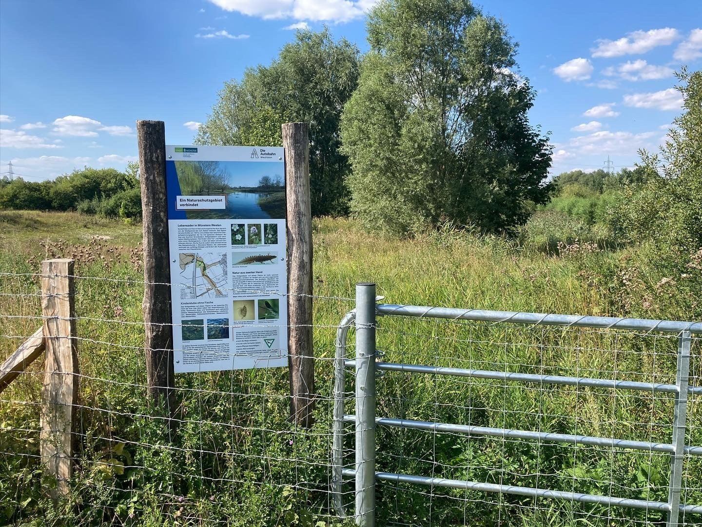 Im weiten Tal der Münsterschen Aa