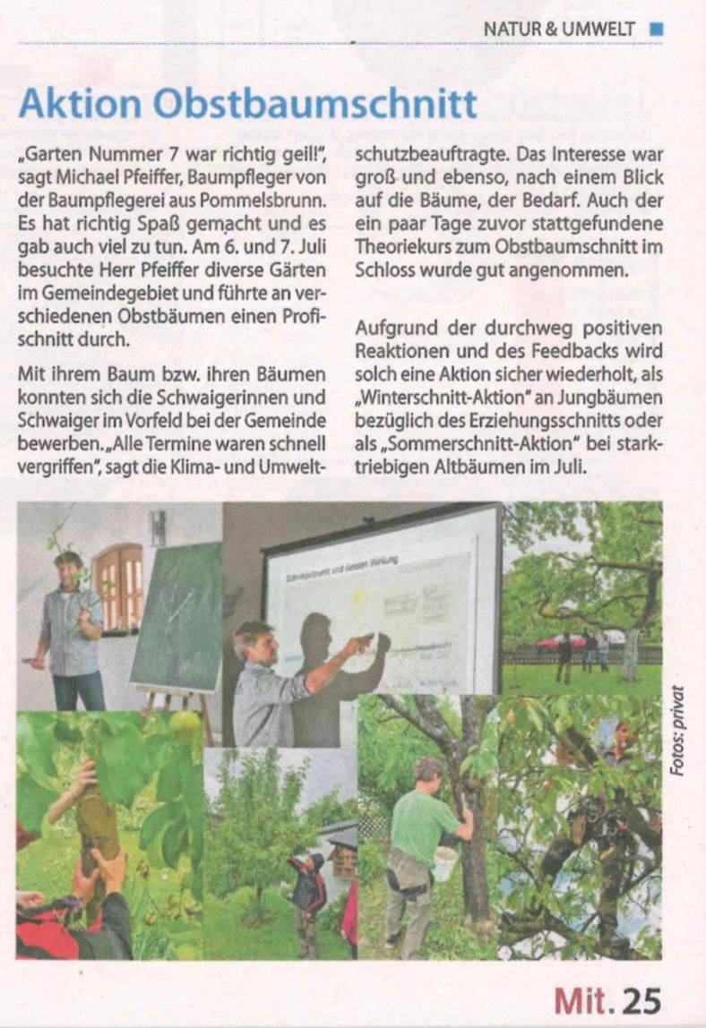 Im Rahmen eines Obstbaumcoachings für die Gemeinde Schwaig erschien dieser Artikel im Gemeindeblatt
