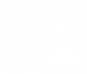 Mitgliedslogo DGSv